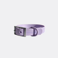 Everyday Collar