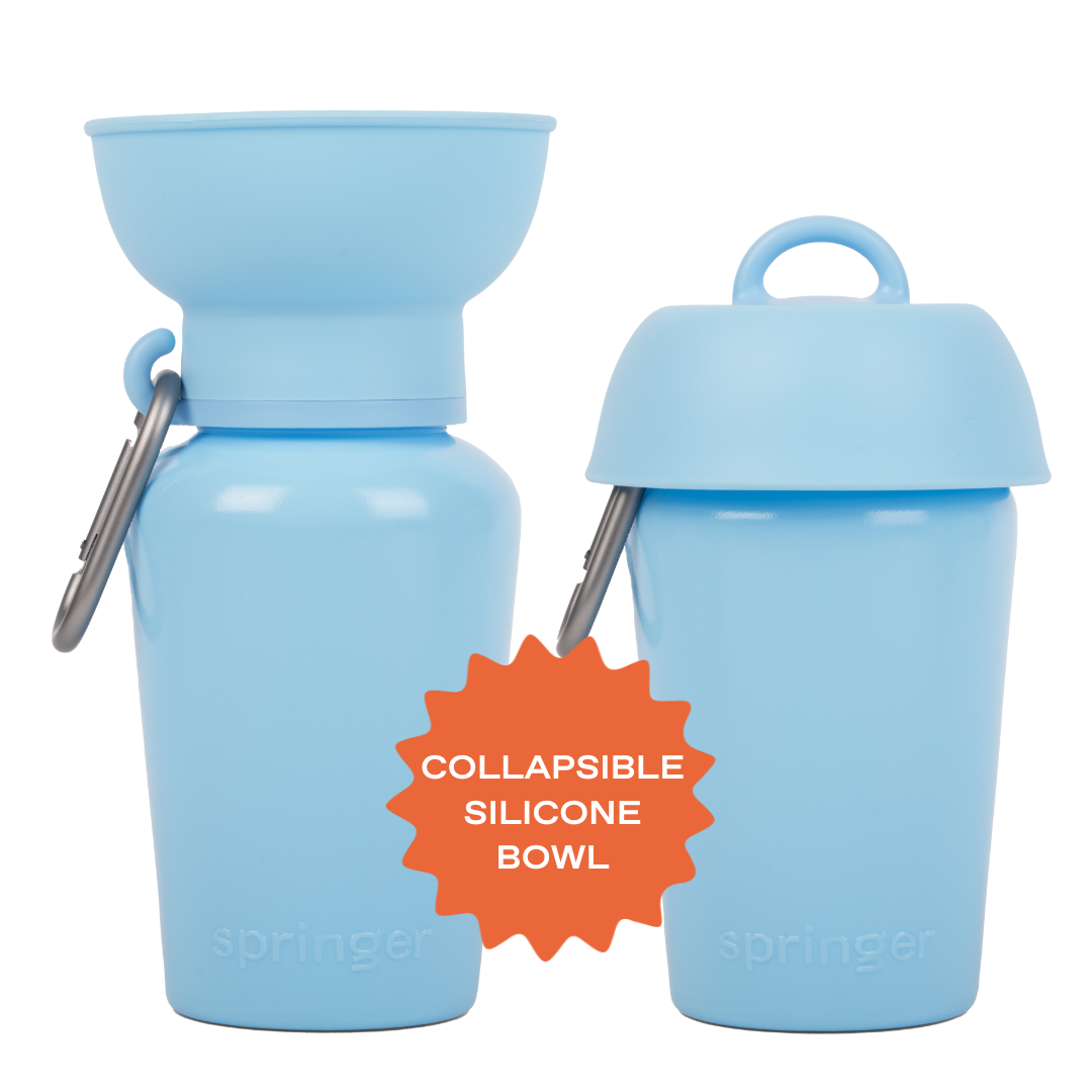 20oz Flip Dog Travel Water Bottle - BIG FRENCHIES