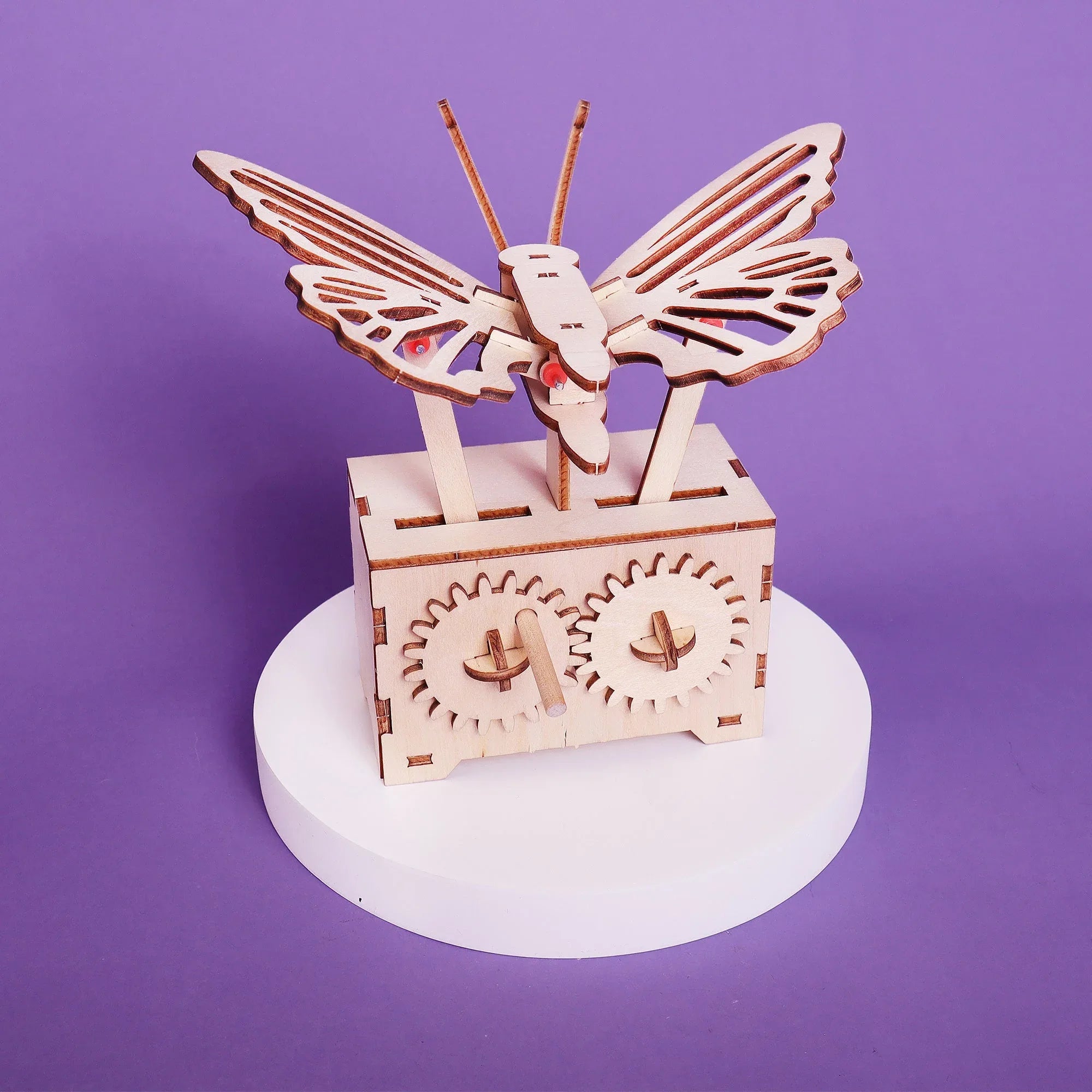 Fluttering Butterfly DIY Kit, Educational STEM Toy - BIG FRENCHIES
