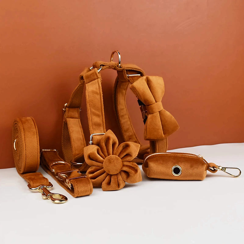 Personalized Ancient Pottery Velvet Classic Set-Pet Collars & Leashes-BIG FRENCHIES-DDPaws