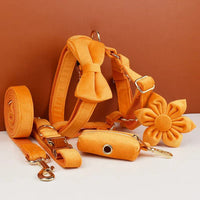 Personalized Orange Velvet Classic Set