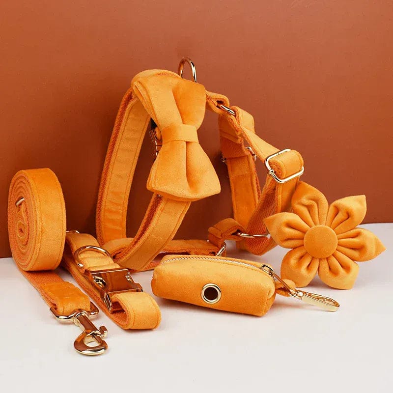Personalized Orange Velvet Classic Set