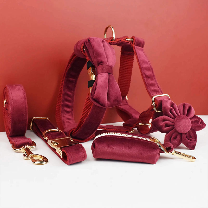 Personalized Red Wine Velvet Classic Set-Pet Collars & Leashes-BIG FRENCHIES-DDPaws