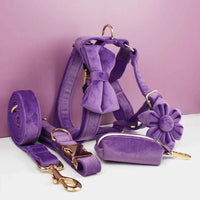 Personalized Velvet Purple Classic Set
