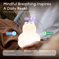 Breathing Pal 'Hugo' The Hippo - BIG FRENCHIES