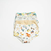 Adventure-Ready Organic Potty Training Underwear (4 Pack) - BIG FRENCHIES