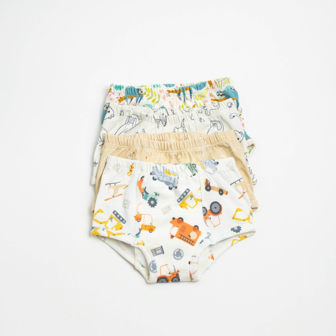 Adventure-Ready Organic Potty Training Underwear (4 Pack) - BIG FRENCHIES