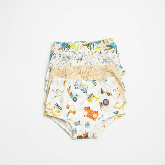Adventure-Ready Organic Potty Training Underwear (4 Pack) - BIG FRENCHIES
