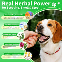 Dog Probiotics Digestive Enzymes,Pumpkin Fiber Chews For Gut Health, Constipation Upset Stomach Relief, Gas & Stool Supp