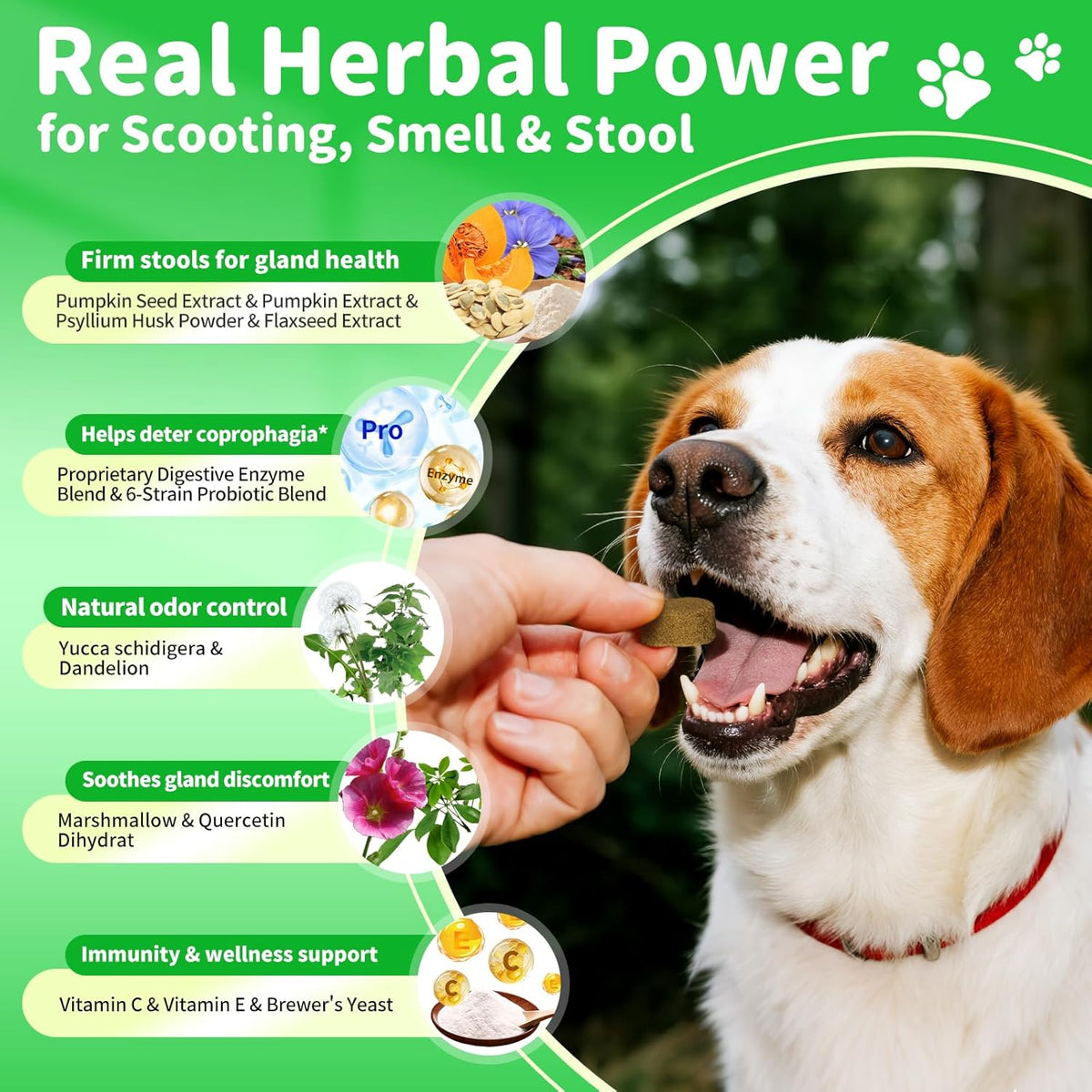 Dog Probiotics Digestive Enzymes,Pumpkin Fiber Chews For Gut Health, Constipation Upset Stomach Relief, Gas & Stool Supp