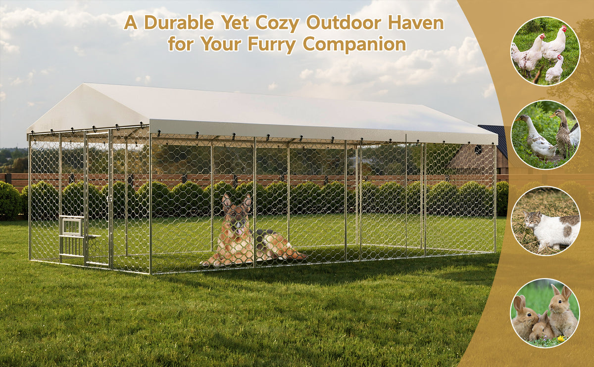 20x10 FT Large Outdoor Dog Kennel with Canopy, Heavy Duty Galvanized Steel Frame, Waterproof Cover, Built-in Elevated Fe