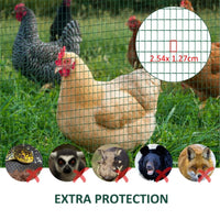 Garden Fence/Chicken Fence /Mesh Fencing Wire
