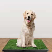 1Pc Dog Potty Training Artificial Grass Pad Pet Cat Toilet Trainer Mat Puppy Loo Tray Turf For Small Medium Dogs Indoor 