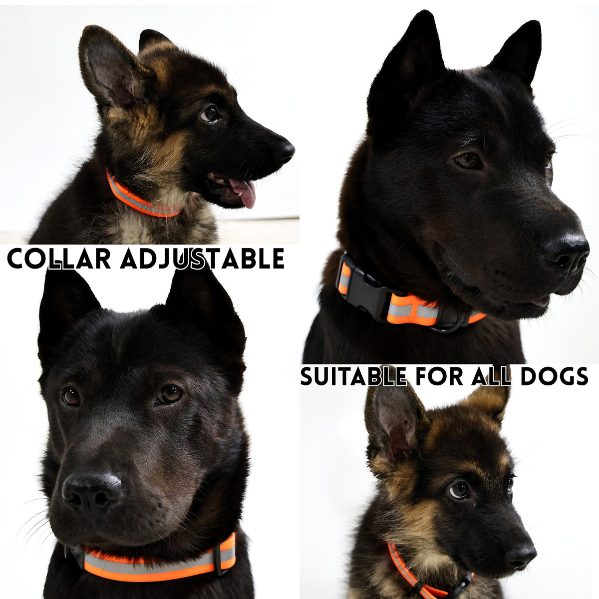 Reflective Leash Set It Can Reflect Light Sources Effectively Enhancing The Safety Of Pets During Outdoor Outings