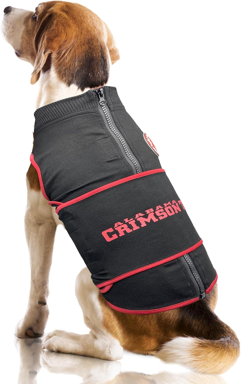 NCAA Calming Vest for Dogs & Cats – All Teams & Sizes