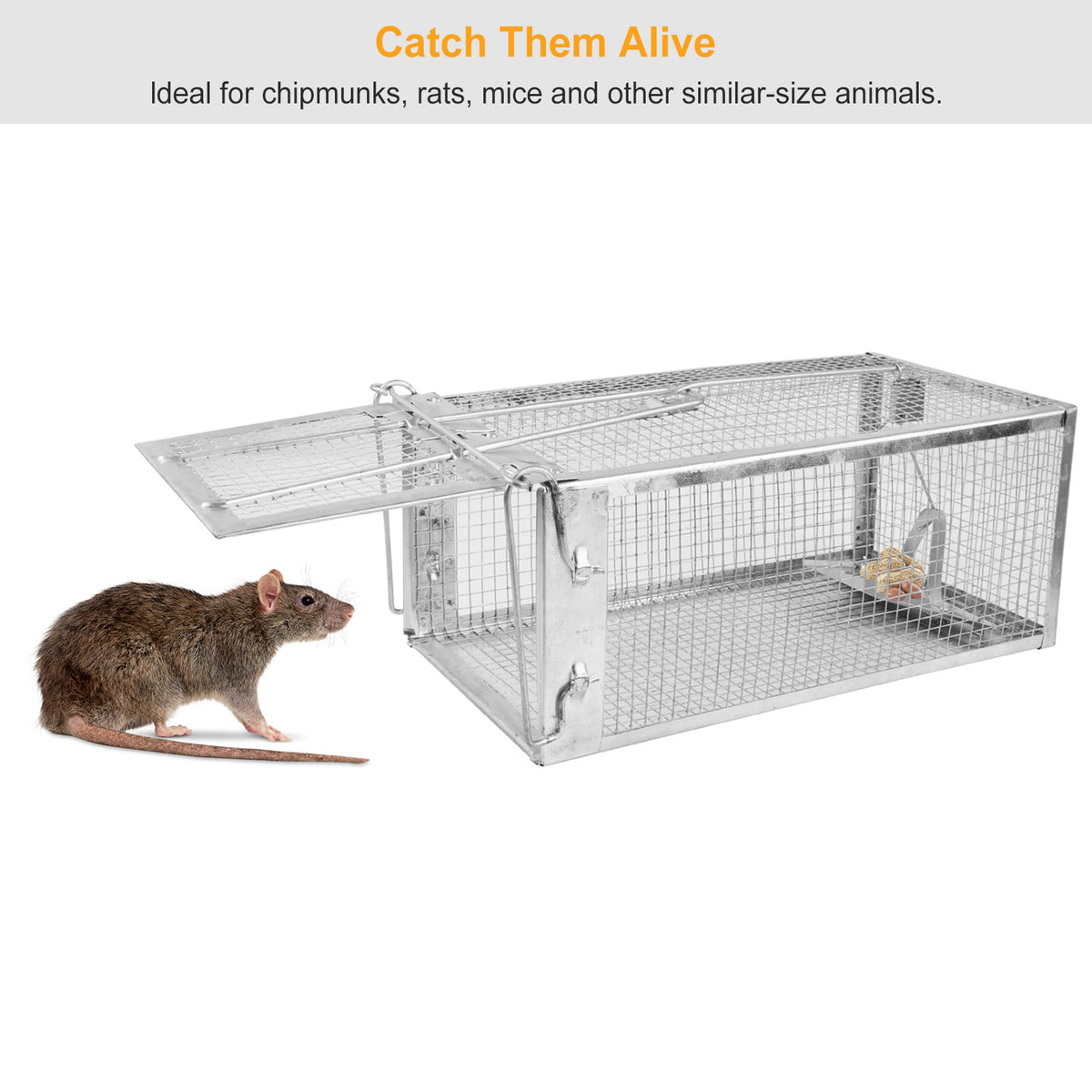 Humane Live Animal Trap, Galvanized Steel Mouse Cage Trap With Sensitive Gravity Pedal, Escape-Proof Design, Reusable Ro