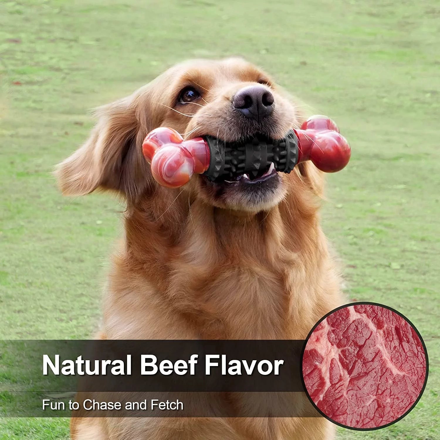 Dog Toys for Aggressive Chewers Bone - BIG FRENCHIES