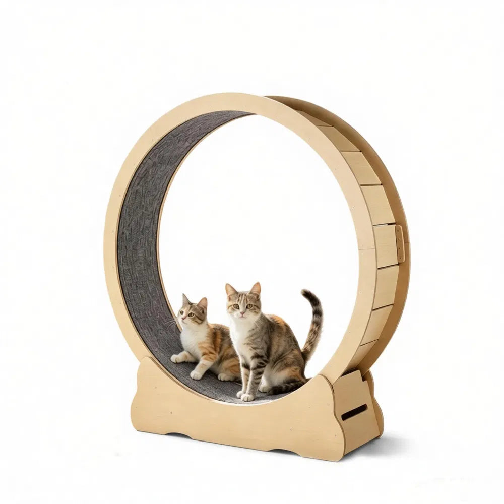 Wooden Cat Exercise Wheel
