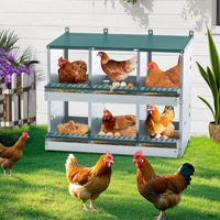 6 Compartments Chicken Nesting Box For Laying Eggs, Roll Away Chicken Laying Boxes, Green