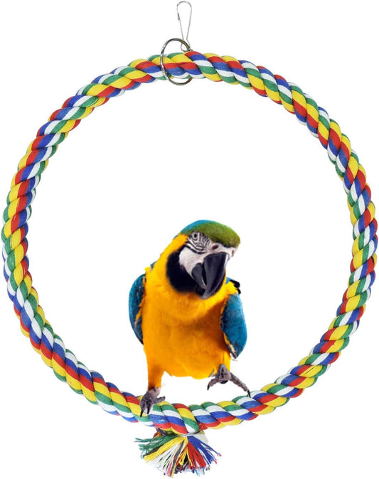 Bird Swing - BIG FRENCHIES