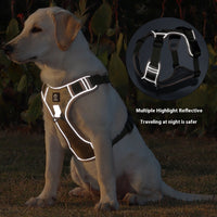 Dog Hand Holding Rope Explosion-proof Handle Chest Back Large Dog