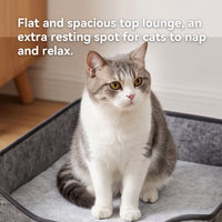 Arched Cat Bed In Green And Gray Color