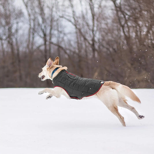 Loft Dog Jacket - Reversible Cozy Coat for Outdoor Adventures - Water Resistant - Athletic Fit - Machine Washable Fabric - Reflective Dog Gear - Medium - Chili Red