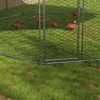 Chicken Coop