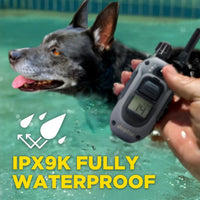2 Dogs Training Collar Remote 1/2 Mile Waterproof LED Rechargeable Control