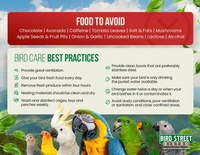 Parrot Care Fridge Magnet