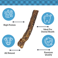 Country Living All-Natural Beef Trachea Dog Treats, Protein-Packed Chews – 12 Inches (5-Pack) - BIG FRENCHIES