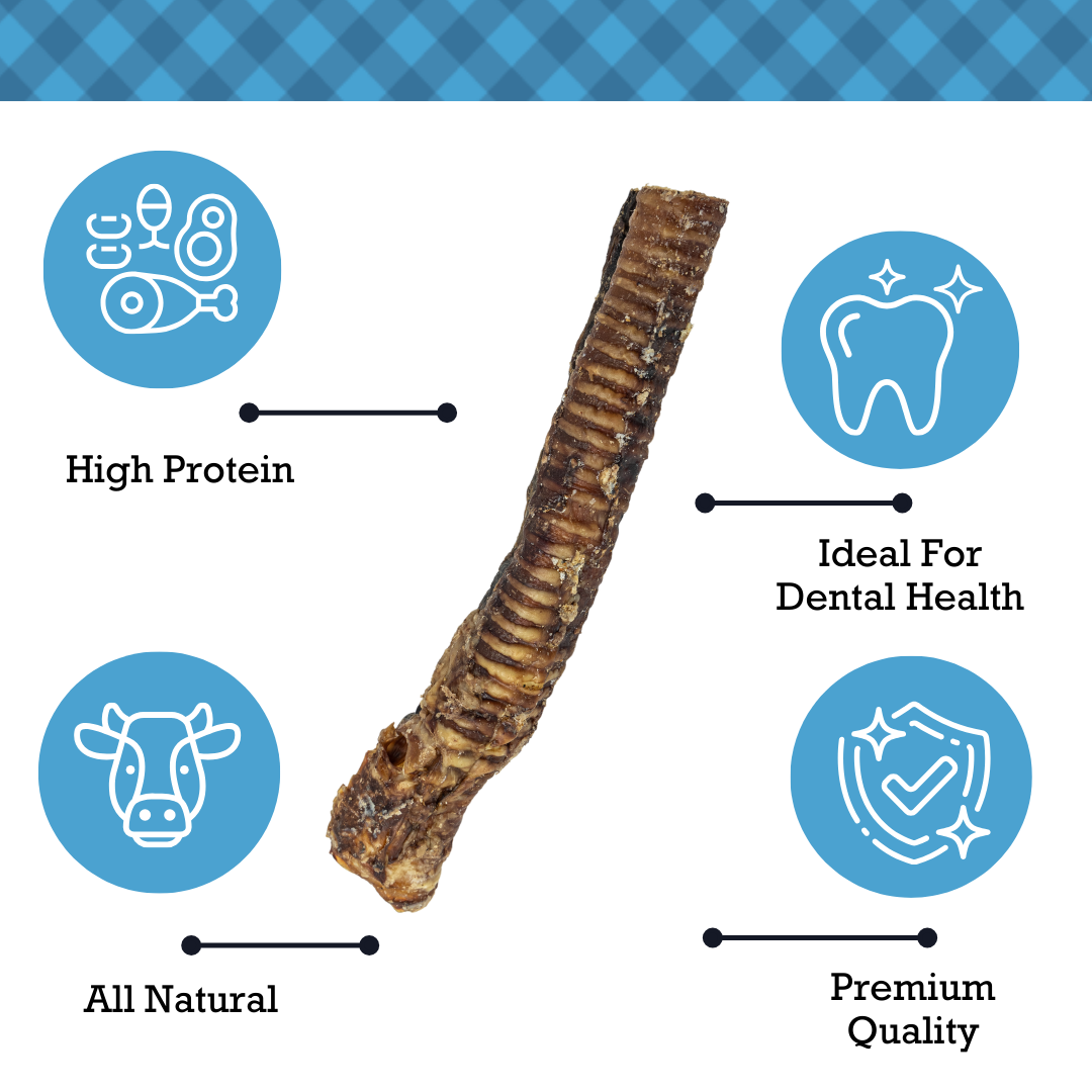 Country Living All-Natural Beef Trachea Dog Treats, Protein-Packed Chews – 12 Inches (5-Pack) - BIG FRENCHIES
