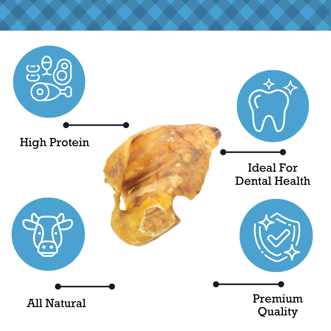 Country Living Whole Pig Ears Dog Treats – 100% Natural, Premium Pork Chews for Dental Care – (15-Pack) - BIG FRENCHIES