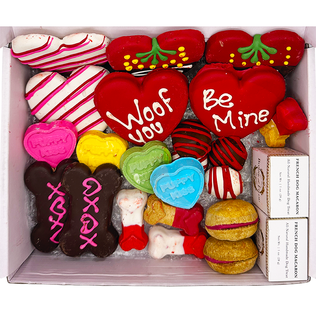 Love My Dog Themed Treats Box - BIG FRENCHIES
