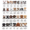 Custom & Personalized Dog Breeds Baby Onesie Gift for Baby Shower, Pregnancy Announcement, Newborn Gift, New Sibling