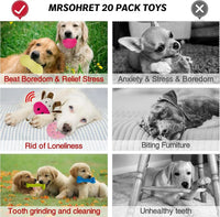 20-Piece Puppy Teething Chew Toy Set with Basket for Small & Medium Dogs - BIG FRENCHIES