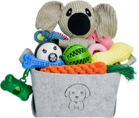20-Piece Puppy Teething Chew Toy Set with Basket for Small & Medium Dogs - BIG FRENCHIES