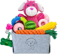 20-Piece Puppy Teething Chew Toy Set with Basket for Small & Medium Dogs - BIG FRENCHIES