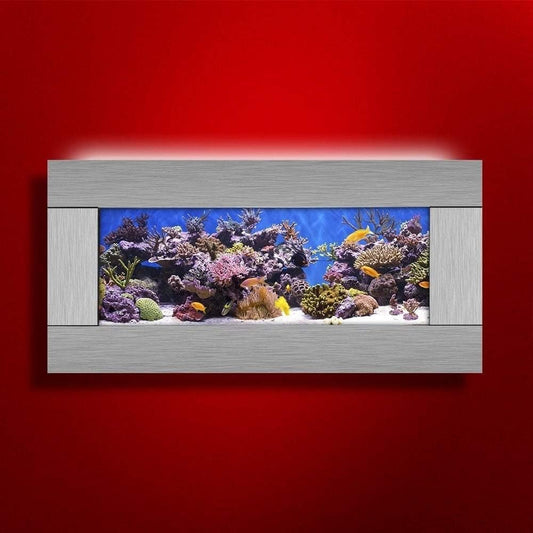 2.0 Wall Mounted Aquarium - Skyline - Silver Stainless Steel - BIG FRENCHIES