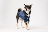 HUSTON HOODIE - MIDNIGHT BLUE