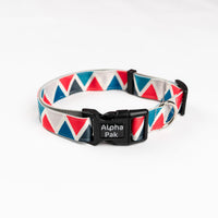 Everyday Adventure Dog Collar