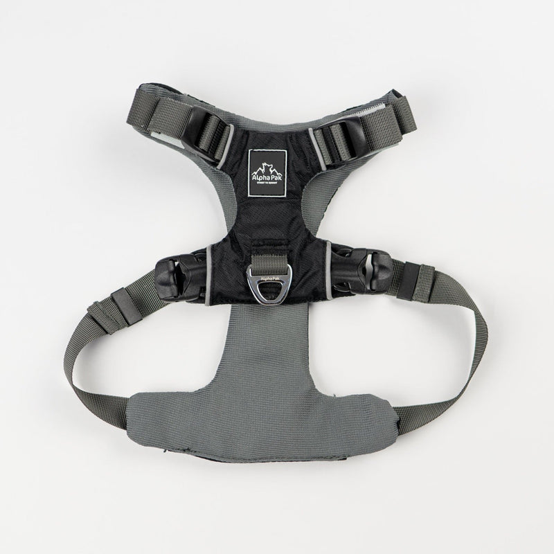 Everyday Adventure Dog Harness-HARNESS-BIG FRENCHIES-Alpha Pak