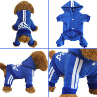 Pet Dog Jumpsuit for Small Medium Dogs - BIG FRENCHIES