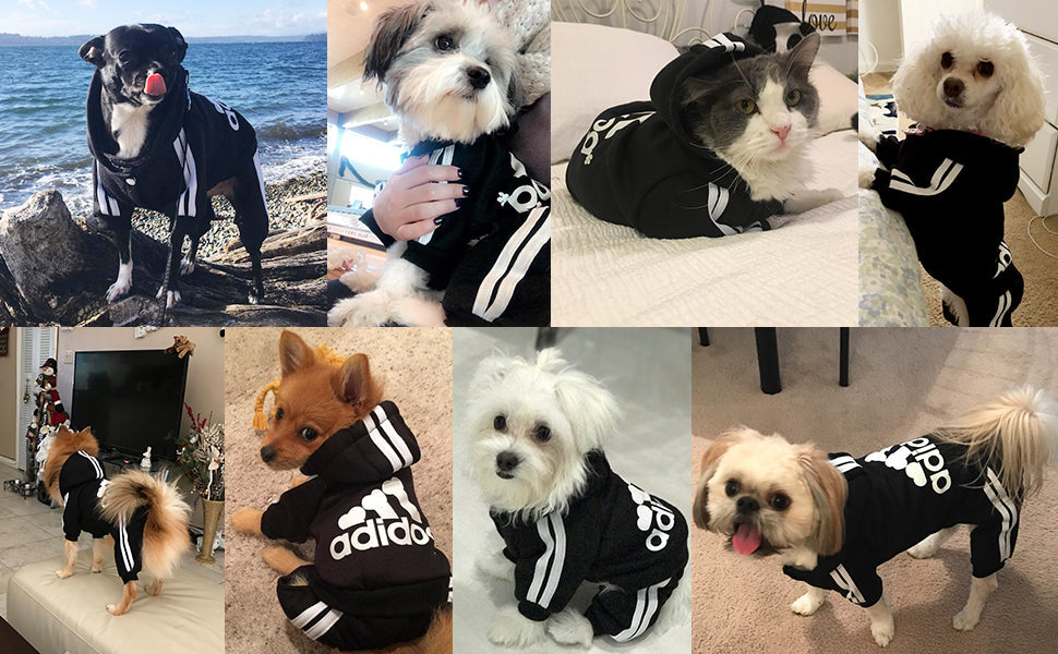 Pet Dog Jumpsuit for Small Medium Dogs - BIG FRENCHIES