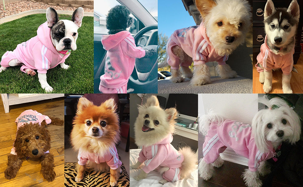 Pet Dog Jumpsuit for Small Medium Dogs - BIG FRENCHIES