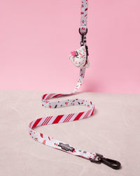 Peppermint Bark Dog Leash