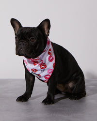 Smooch My Pooch Cooling Bandana