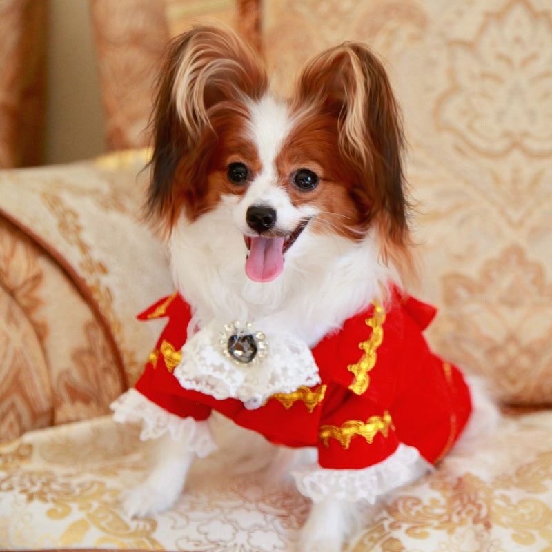 Handmade Regal French Court Dog Clothes Tailcoat Luxury Pet Suit With Shirt Lace and Gold Detailing-Pet Apparel-BIG FRENCHIES-Jane's Pet Boutique