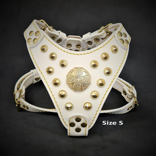 The ''Maximus'' harness White & Gold Small to Medium Size