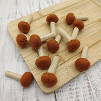 Honey mushrooms, play food, salad bar - BIG FRENCHIES